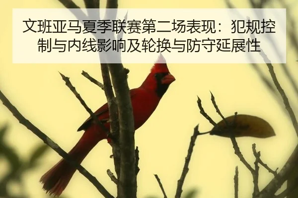 文班亚马夏季联赛第二场表现：犯规控制与内线影响及轮换与防守延展性