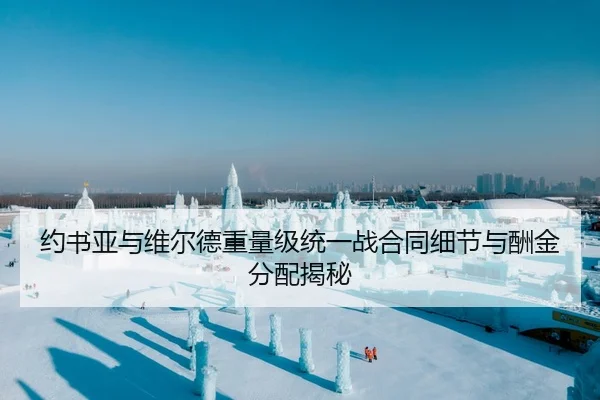 约书亚与维尔德重量级统一战合同细节与酬金分配揭秘